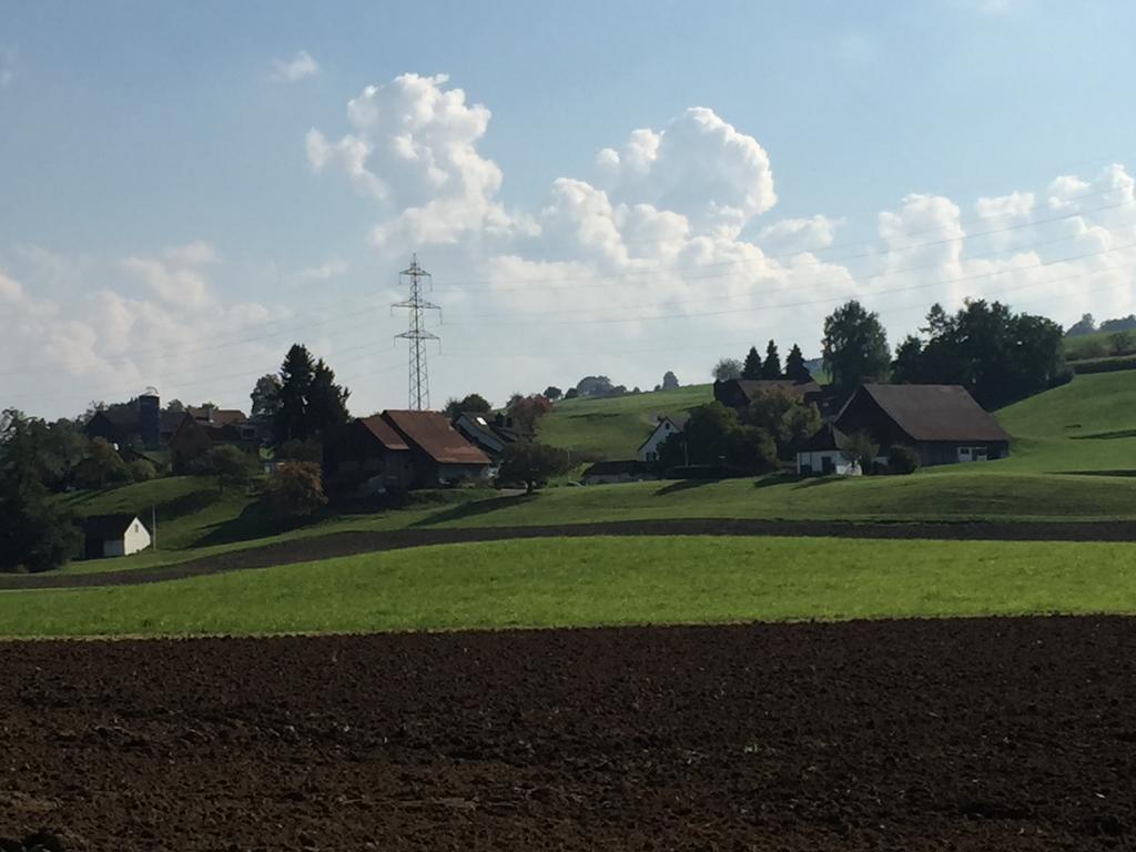 Studio-Appartment Horgen Eksteriør bilde